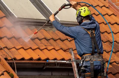 Démoussage et hydrofuge de toiture au Mesnil-Théribus